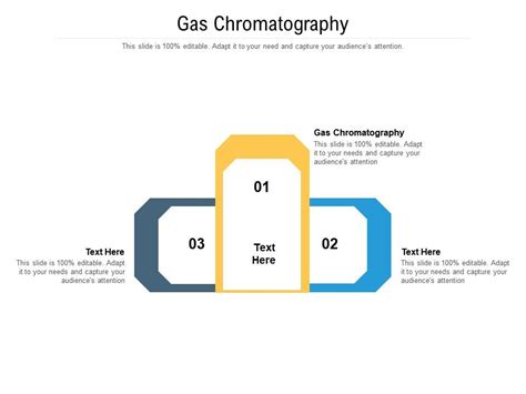 Gas Chromatography Ppt Powerpoint Presentation Gallery Slide Portrait Cpb Presentation