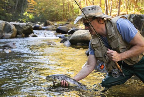 Trout Fishing in Virginia: Fulfill Catch Limit with Limitless ...