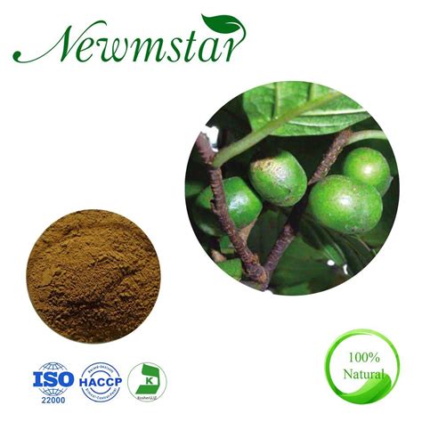 High Quality Natural Pure Pygeum Africanum Bark Extract Pygeum Extract