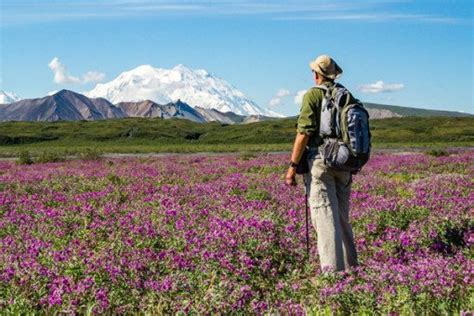 Denali Hiking, Photography & Camping - Denali Guidebook