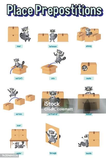 Preposition Wordcard With Raccoon And Box Stock Illustration Download Image Now Activity