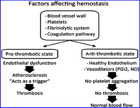 Factors affecting hemostasis. | Download Scientific Diagram