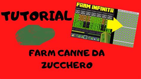 TUTORIAL FARM CANNE DA ZUCCHERO E DI CACTUS YouTube