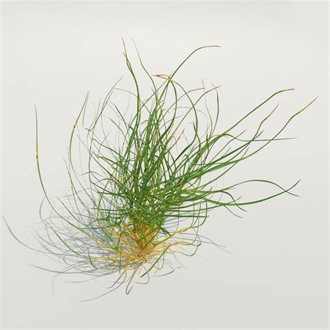 Blenderkit Download The Grass Strands Medium Model