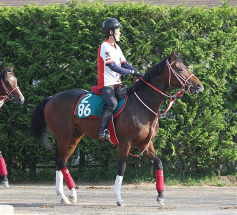 ライブドアニュース On Twitter 【新潟5r新馬】高額馬フェイトが圧勝デビュー オーナーは「ウマ娘」藤田晋氏 T