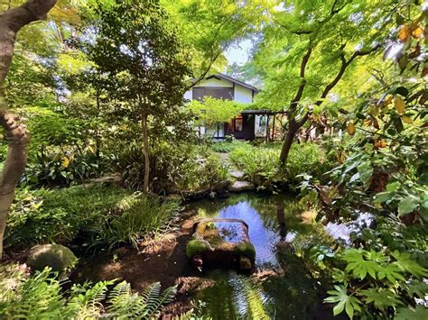 はけの森美術館庭園 ― 国登録有形文化財…東京都小金井市の庭園・カフェ。 | 庭園情報メディア【おにわさん】