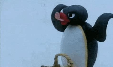 Pingu GIFs - Get the best GIF on GIPHY