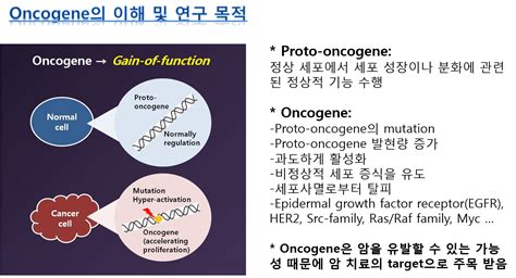 세포사멸과 암 발생 기전 및 치료법 연구 Researches 분자질병연구실 Biological Sciences Snu