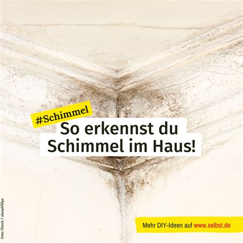 A Close Up Of An Open Book With The Words So Erkennst Du Schimmel Im Haus