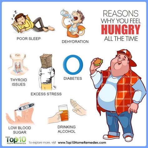 10 Reasons Why You Feel Hungry All The Time Top 10 Home Remedies