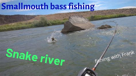 Smallmouth Bass On The Snake River Youtube