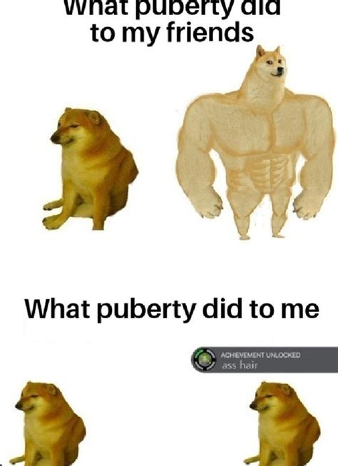 Puberty Strikes Again Meme By Soydolphin Memedroid The Best Porn Website