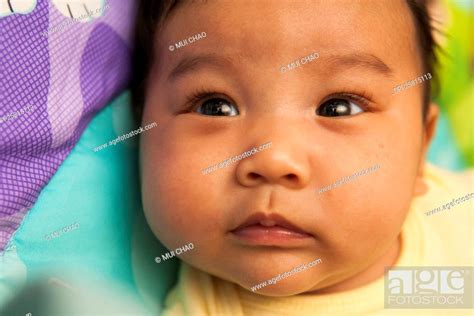 Close Up Portrait Of Two Month Old Asian Baby Lying On Back Studio