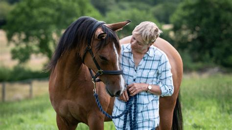 Zahra Success Story The Mare And Foal Sanctuary