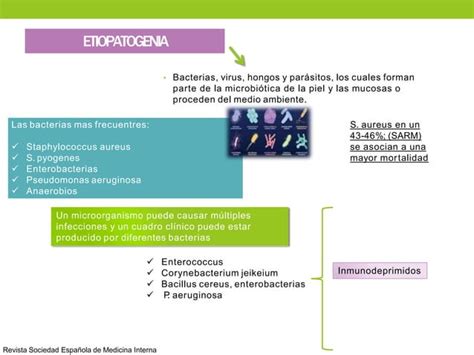 Infecci N De Piel Y Partes Blandas Semi Pptx