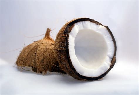 Wholesale Dehydrated Coconut Bulk Dried Coconut Dehydrates Inc