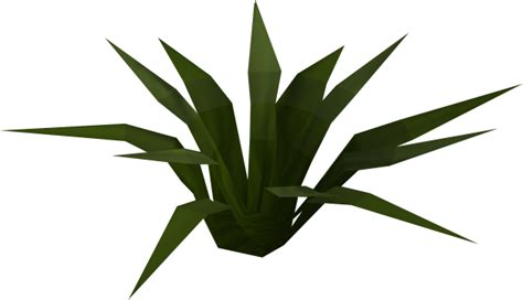 Fileplantpng The Runescape Wiki