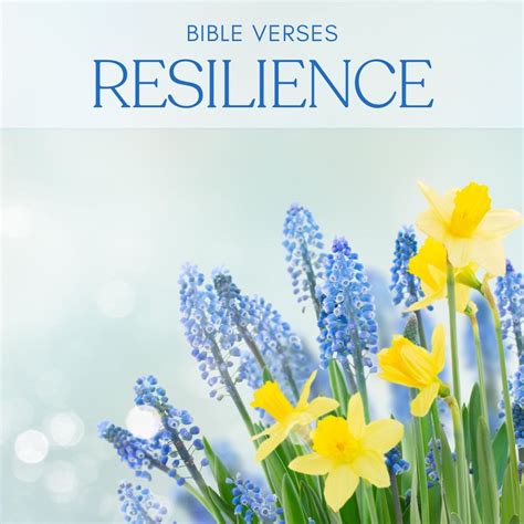 15 Bible Verses On Resilience