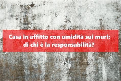 Umidit Sui Muri In Una Casa In Affitto Di Chi La Responsabilit