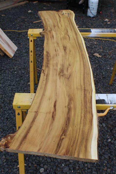 Black Locust 19 Diy Live Edge Slab Live Edge Slab Live Edge Slab