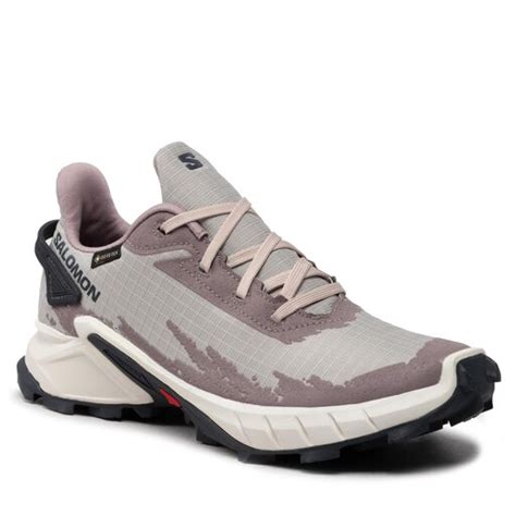 Schuhe Salomon Alphacross 4 Gtx W GORE TEX 417232 20 V0 Ashes Of Roses