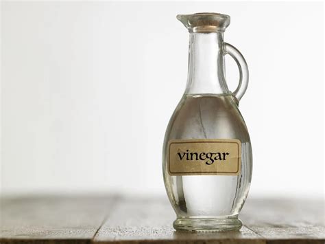 How To Store Vinegar Mother Storables