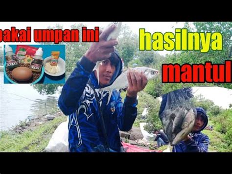 Mancing Ikan Bandeng Sepot Perdana Tes Umpan Jitu Di Musim Duel Esen