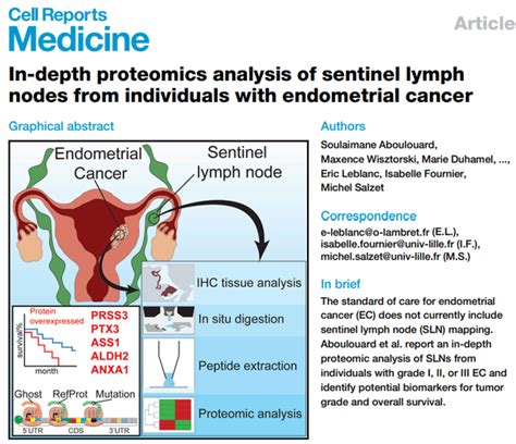 Cell 子刊 空间蛋白组学揭示子宫内膜癌及前哨淋巴结分子特征 知乎