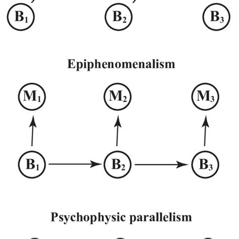 linkage  mind  brain sir john eccles  modern dualistic