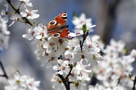 Spring Bank Holiday Opening Hours Speedgate Blog