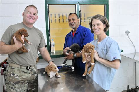 Army veterinarians team with Nevada State Partnership Program for ...