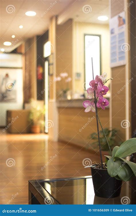 Hospital Clinic Waiting Room Stock Illustration - Illustration of area ...