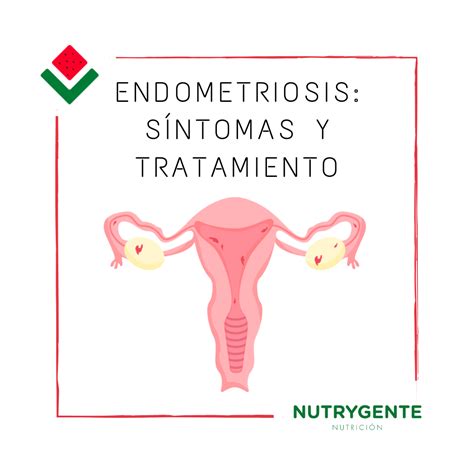 Endometriosis Síntomas Dieta Y Tratamiento Nutrygente