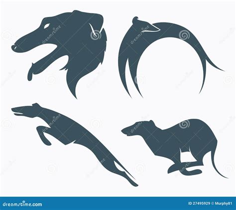 Borzoi Cartoons Illustrations And Vector Stock Images 566 Pictures To