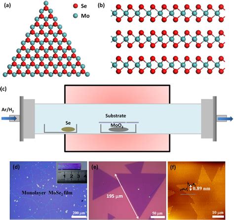 A And B The Schematic Crystal Structure Of Mose2 Corresponding To Download Scientific