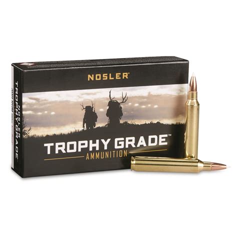 Nosler® Trophy Grade™ 300 Rem® Mag 180 Grain Pt 20 Rounds 179684