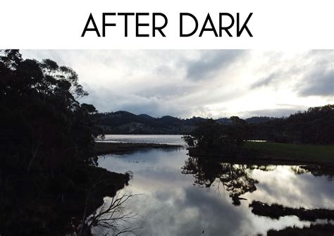 After Dark — Halcyon