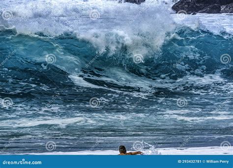 Surfer Paddling Out Wave Waimea Bay North Shore Oahu Hawaii Stock Image