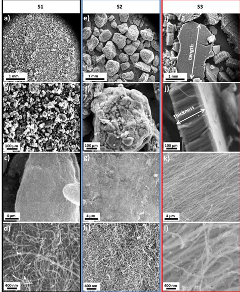 10 SEM SE Images Showing Various Morphologies For The 3 Different Types