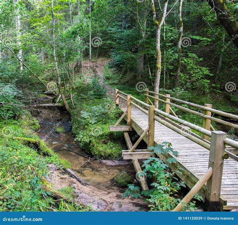 Beautiful View Of A Small Wooden Bridge Over A Stream In The Forest In