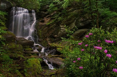 Rocas Bush Cascada Carolina Del Norte Rododendros Etowah Seven