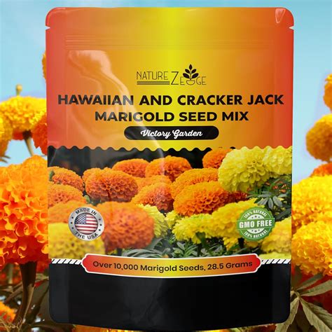 Naturez Edge Marigold Seeds Marigold Seeds For Planting