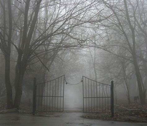 99 Best Images About Foggy Creepy Places I Love To Visit On Pinterest