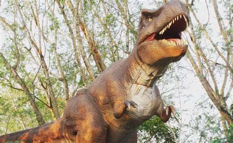 Parque Dos Dinossauros Confira Onde Encontrar Esses Seres Jur Ssicos