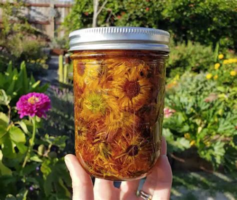 complete natural         voce ws