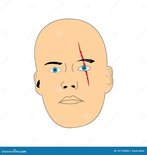 Face with a Scar Isolated on White Background Stock Vector ...