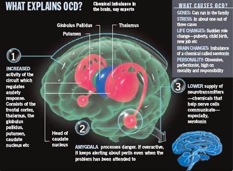 Obsessive Compulsive Disorder: What causes OCD