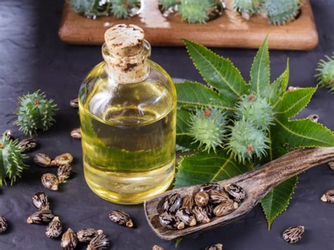 15 Amazing Benefits Of Castor Oil Organic Facts