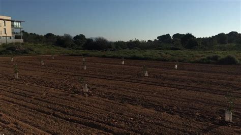 AVA Asaja denuncia la grave inseguridad del campo con pequeños