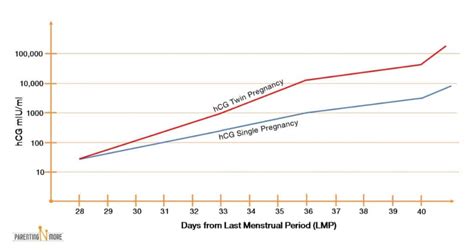 Hcg Levels Twins Vs Singleton What S The Difference Parentingnmore